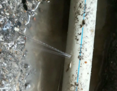正镶白旗测漏水哪家好