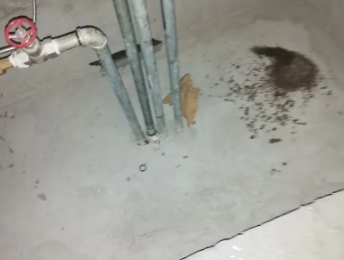 正镶白旗卫生间测漏水价格明细